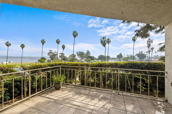 Balcony view showing palm trees and distant water body.