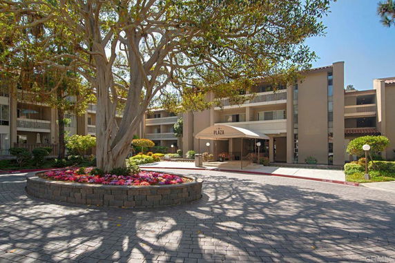 Front view of a multi-story building with a large tree in the foreground.
