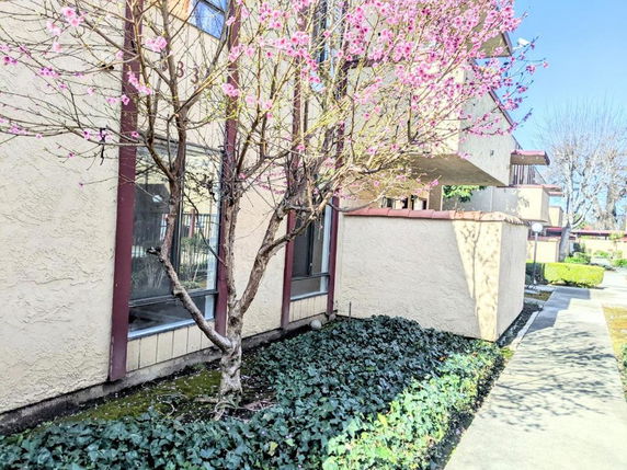 Front view of a building with beige stucco walls and pink flowering trees.