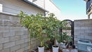 cacrmls/9ae36dadb811322a6593515fa7ad4825.jpg?width=131&height=105&format3=webp