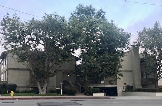 Front view of a multi-story apartment building with trees in the foreground.