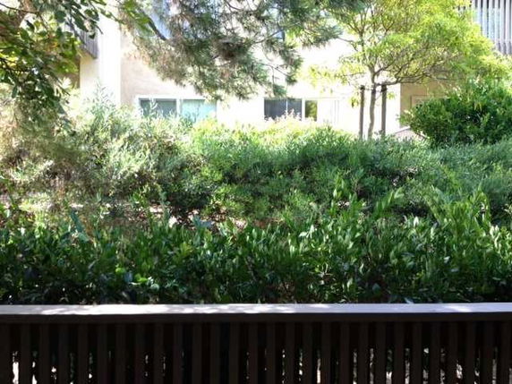 View of a building partially obscured by trees and bushes.