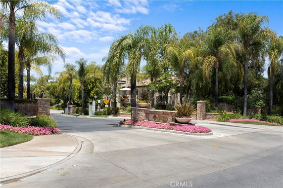 Entrance view of a residential area with palm trees lining the street.