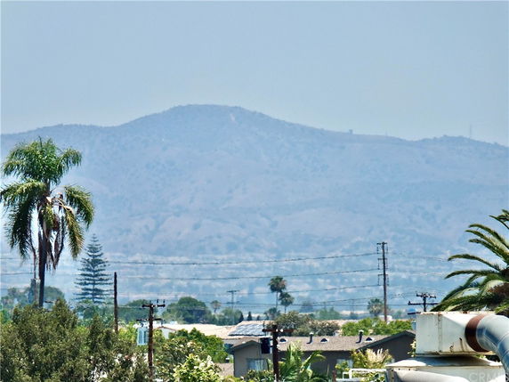 Wide view of a mountainous landscape with palm trees and electrical poles.