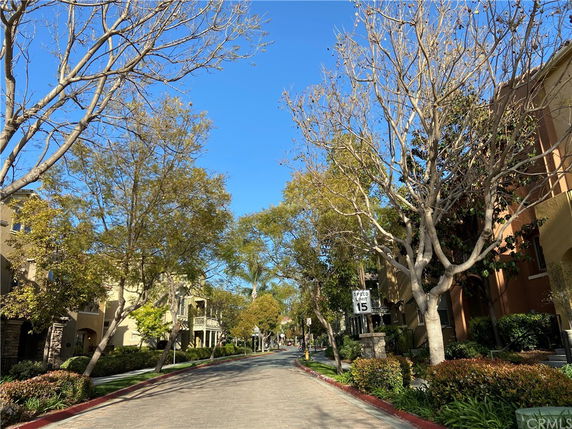 Street view lined with trees and residential buildings.