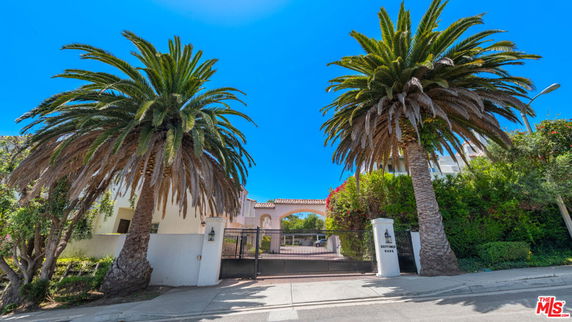 Front view of a gated property with a driveway and palm trees.