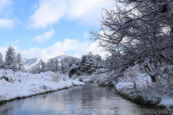 Winter landscape with a snow-covered river and trees.