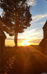 cacrmls/9d6bdffa42d6e7880006c4fe29c24ca8.jpg?width=131&height=105&format3=webp
