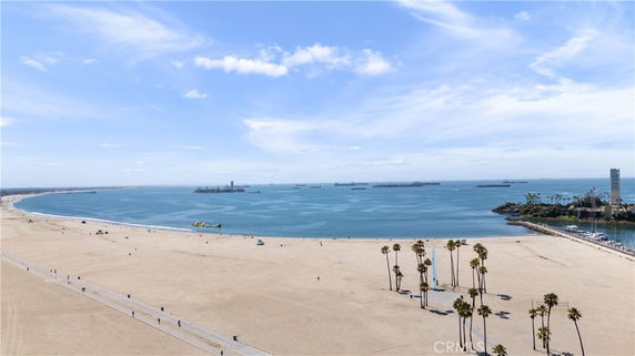 Panoramic view of a beach and ocean with palm trees and distant ships.