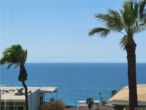 Panoramic view of the ocean with palm trees and rooftops in the foreground.