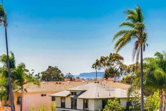 View of surrounding residential area with palm trees and hills in the background.
