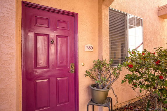 Front view of a house with a bright purple door and a potted plant beside it.