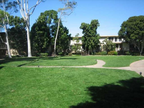 View of buildings surrounded by trees and open green lawn