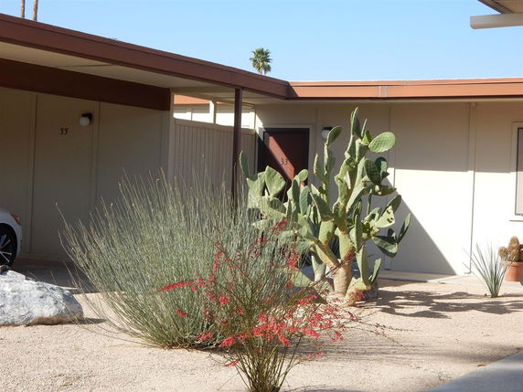 Front view of a single-story house with a flat roof, surrounded by desert landscaping.