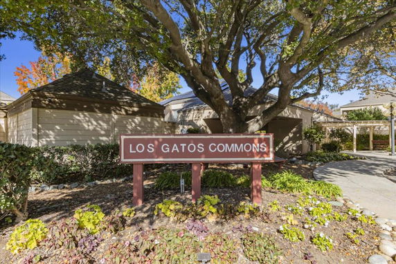 Front view of Los Gatos Commons building with a prominent tree and entrance walkway.