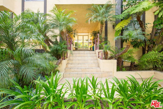 Front view of a building entrance with stairs and surrounding greenery.