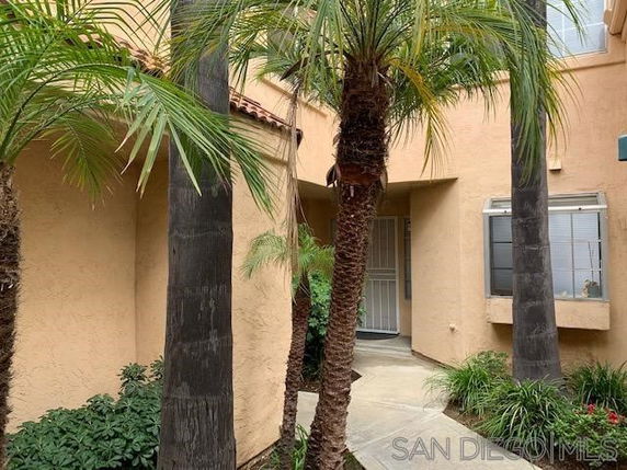 Front view of a house with palm trees and a small entryway.