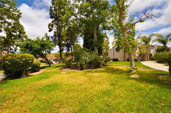 Garden area with trees and a building in the background.