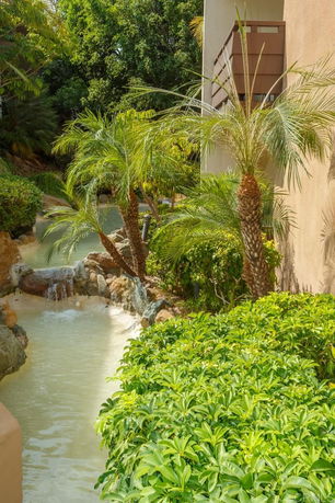 View of tropical plants and water feature next to a building exterior.