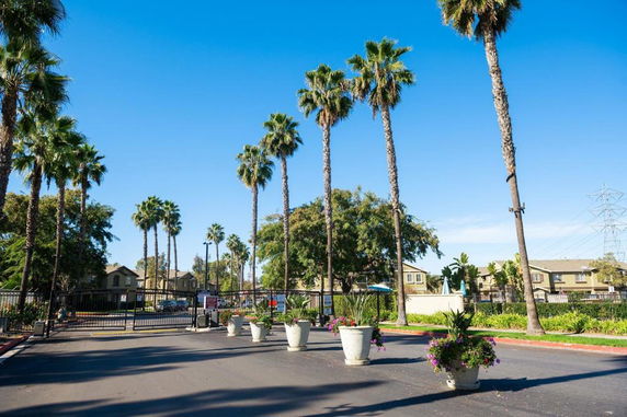 Gated entrance with palm trees and view of residential buildings.