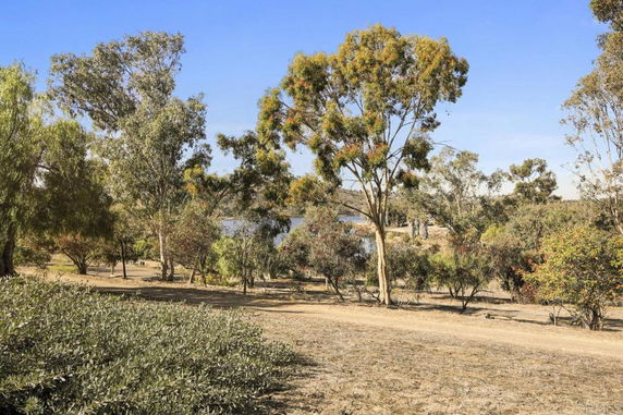 View of a natural landscape with trees and shrubs.