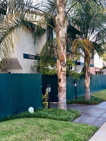 Partial front view of a building with a blue fence and tall palm trees.
