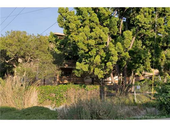 View of a multi-story house partially obscured by trees and vegetation.