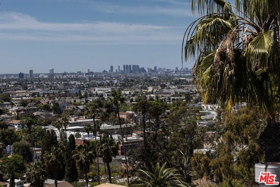 Wide angle view of a cityscape with tall buildings in the distance and palm trees in the foreground.