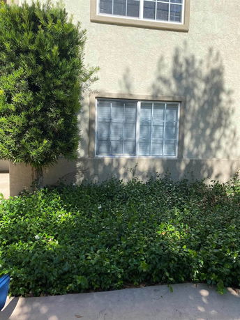 Front view of a building with two windows and a textured exterior wall.