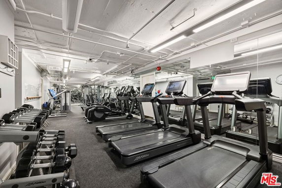 Interior view of a gym with treadmills and weightlifting equipment.