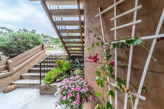 Outdoor view of a building stairway with plants and flowers.