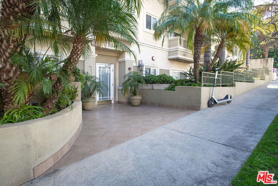 Front view of a building entrance surrounded by palm trees and plants.