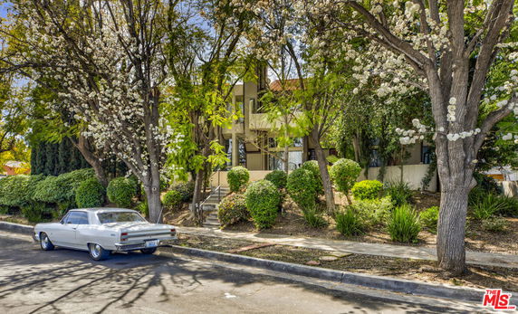 Front view of a multi-story house partially obscured by trees.