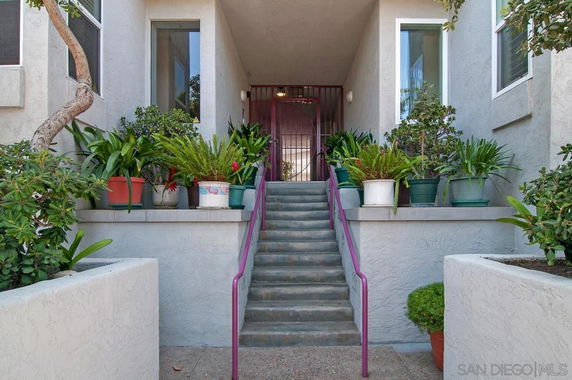 Entrance of a building with steps and potted plants on either side.