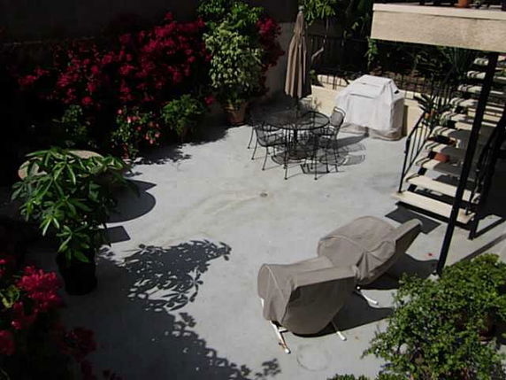 Outdoor patio area with covered furniture and plants.