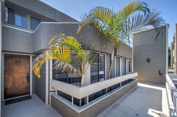 Front view of a modern multi-story building with a small balcony and palm plant.