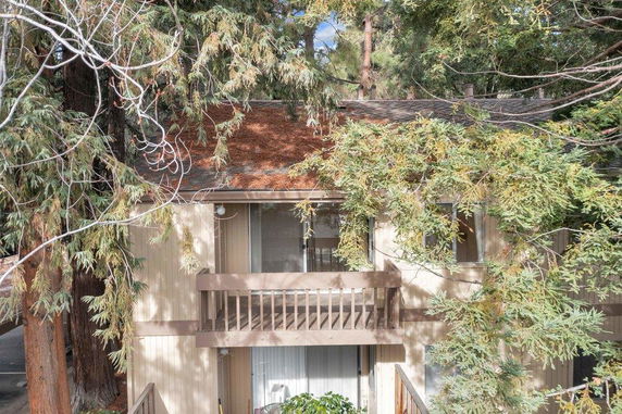 Front view of a two-story house partially obscured by trees.