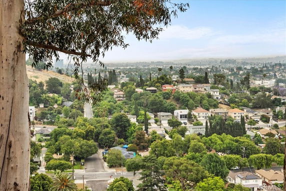 Panoramic view of a residential area with trees and houses.