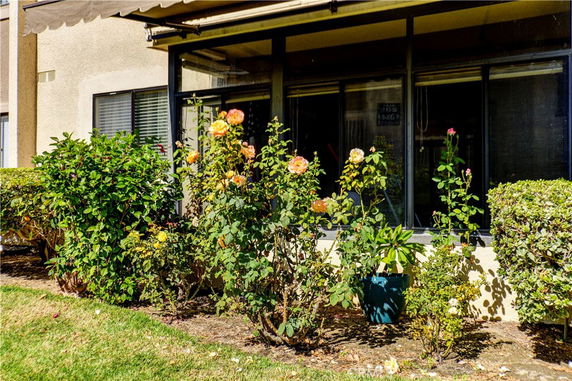 Front view of a building with large windows and a garden area with shrubs and flowers.