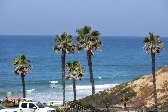 View of the ocean with palm trees and a sandy beach.