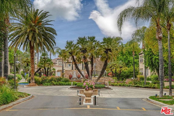 Driveway with palm trees and surrounding buildings.