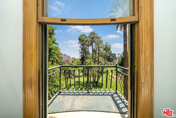 View through a window overlooking a lush garden with palm trees.