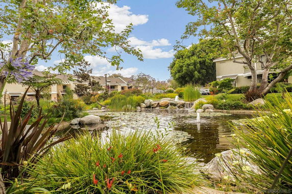 Outdoor view of landscaped garden with pond in front of residential buildings.