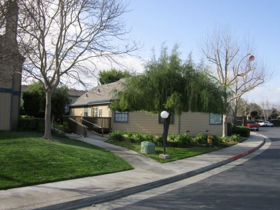 Front view of a single-story house with a ramp and a small garden.