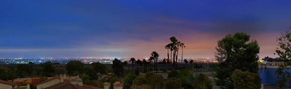 Panoramic view of a cityscape at night with trees and rooftops in the foreground.
