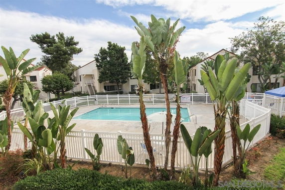 View of an outdoor swimming pool surrounded by a white fence and tropical plants, with buildings in the background.