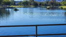 cacrmls/b1b1f2869f60ddd8562d78b241f1f1c2.jpg?width=131&height=105&format3=webp