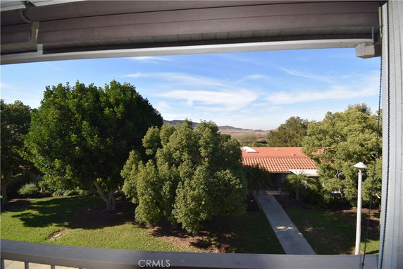 View of trees and building rooftops seen from a building.