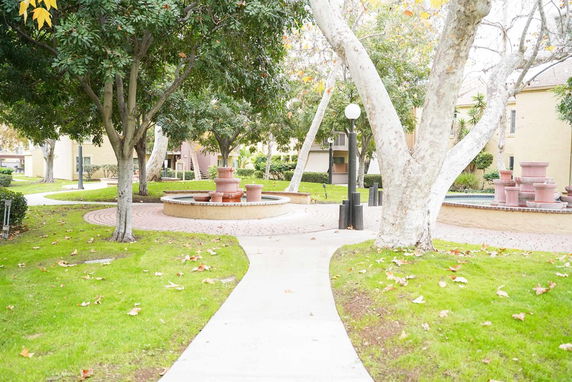 Outdoor view of a landscaped area with trees and a water fountain near a residential building.