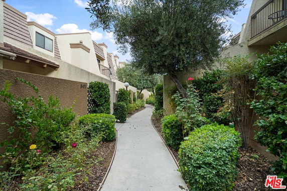 Pathway alongside residential buildings with landscaped bushes and trees.